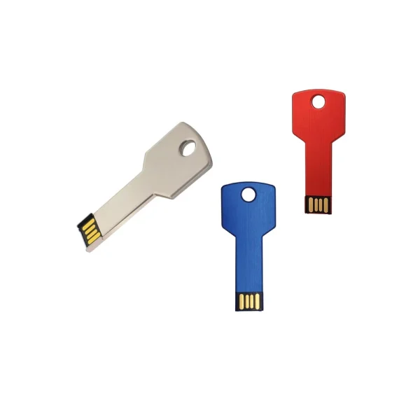 SSM Clé USB format clé de porte SSUSM01