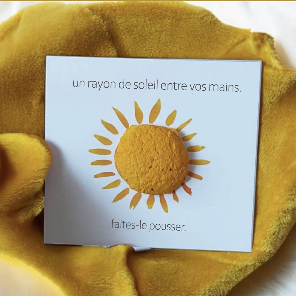 Carte Ensemencée avec forme 3D